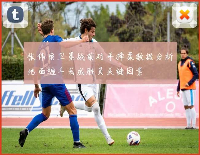 张伟丽卫冕战前对手摔柔数据分析地面缠斗或成胜负关键因素